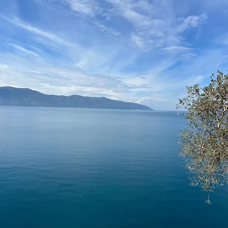 Apartment Suite Apartment Vlore Vlore